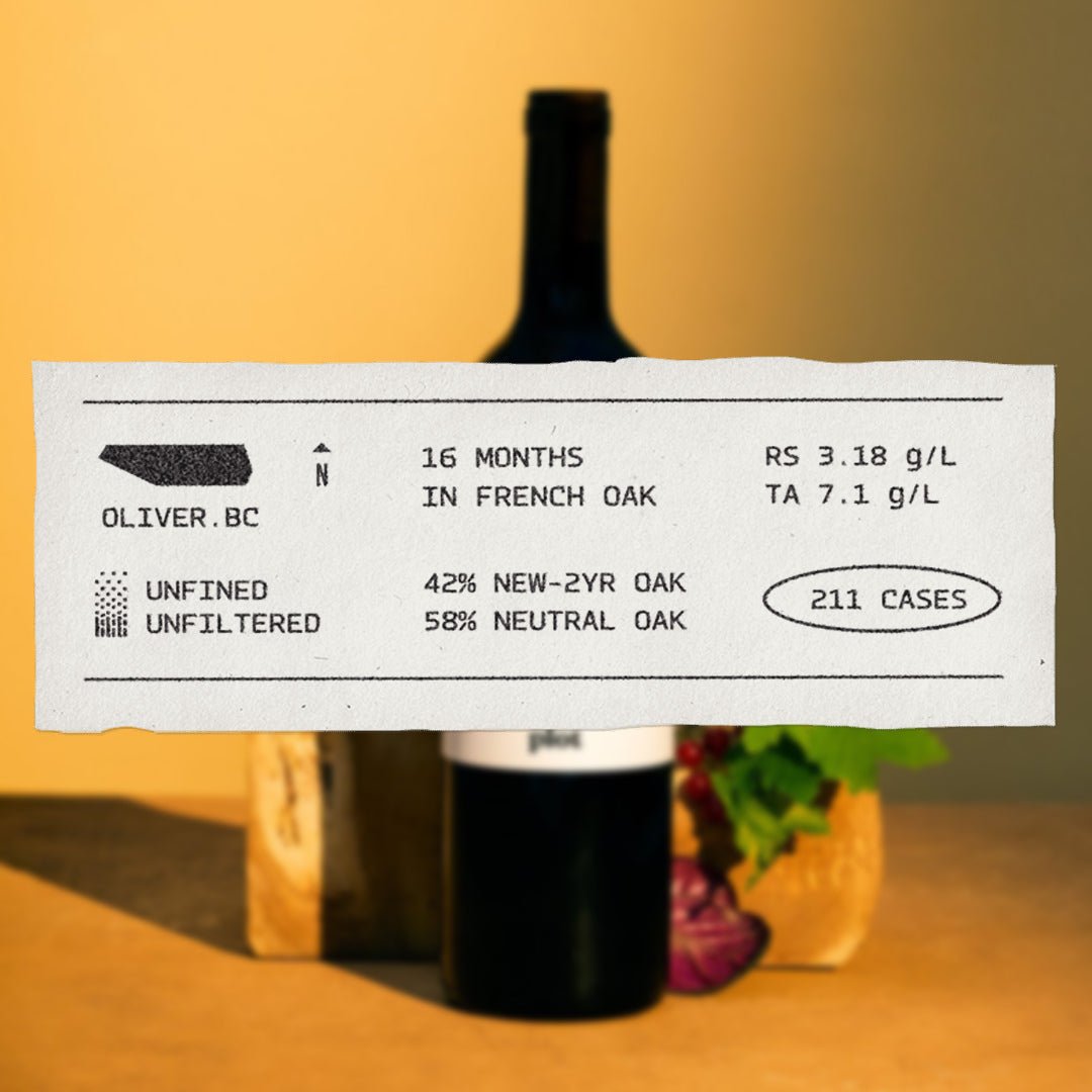 Cabernet Sauvignon 2020 - Plot Wines